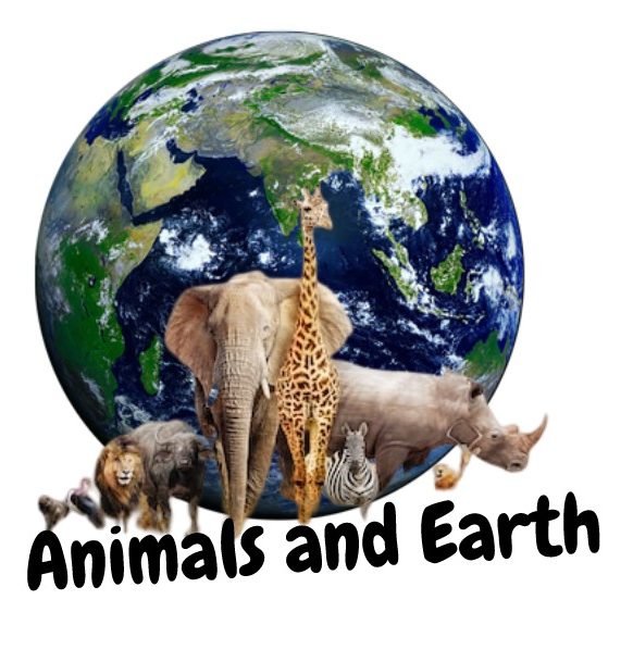 Animals and Earth